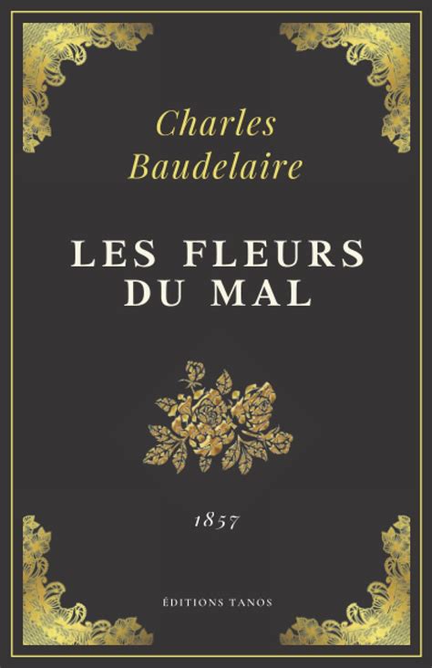  Les Fleurs du Mal : Un voyage sonore mélancolique aux accents folk et psychédéliques