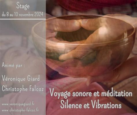  L'Écho de la Nuit Silencieuse : Un Voyage Sonore dans les Profondeurs du Minimalisme Expérimental